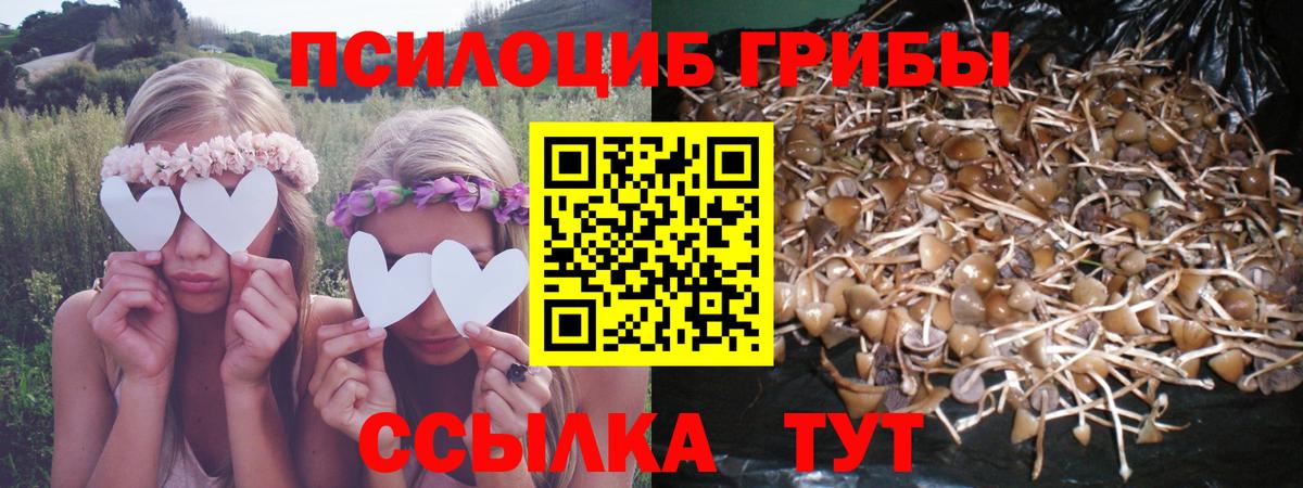 Псилоцибиновые грибы мицелий  Вход с VPN  Новодвинск 